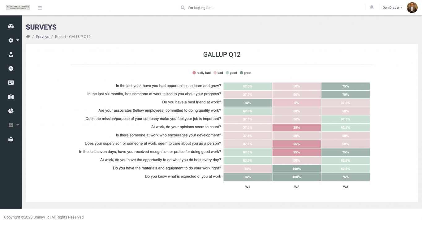 brainy hr gallup12 survey