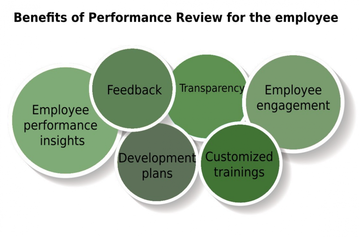 importance-of-performance-appraisal