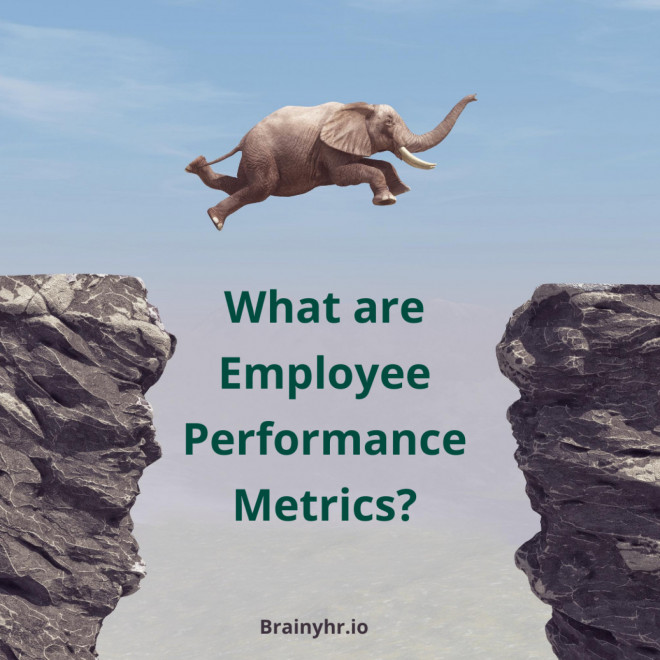 what-are-employee-performance-metrics